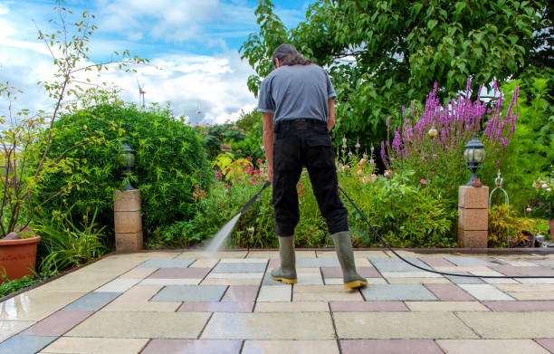 Best Winterizing Services  in Luck, WI